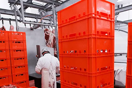 Food Processing cold room panels